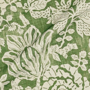 V&A Brompton Collection - Flowering Kale: Basil