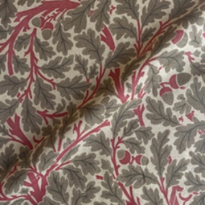 V&A Drawn From Nature - Oak Tree: Red