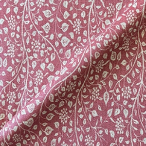 RHS Collection - Gertrude Jekyll Small Trailing Vine: Red