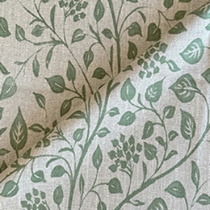 RHS Collection - Gertrude Jekyll Trailing Vine: Olive