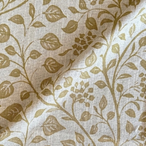 RHS Collection - Gertrude Jekyll Trailing Vine: Gold