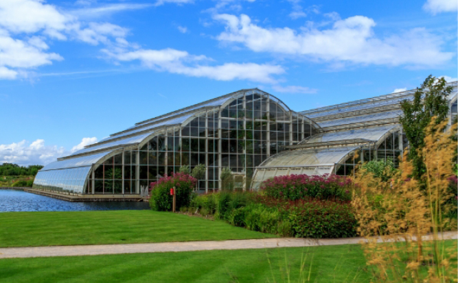 Things to do in Walton-on-Thames