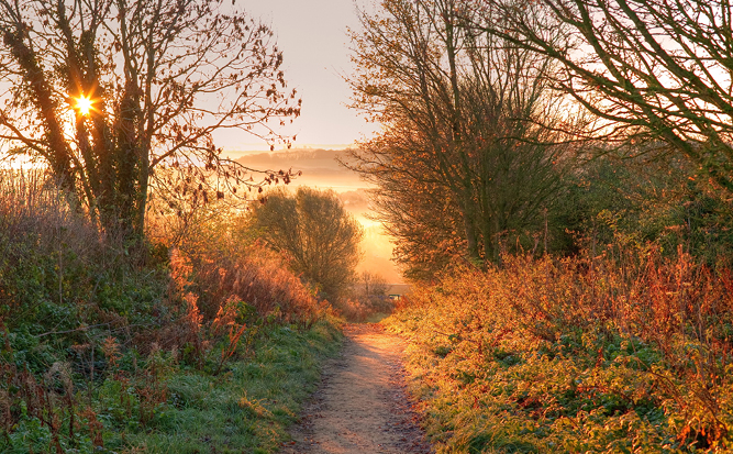 Things to do in Stroud