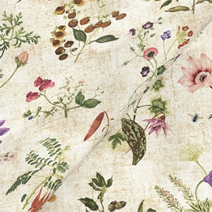 RHS Collection on Velvet - Caroline Maria Applebee Collage: Wildflowers