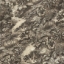 Exclusive Fabric RHS Botanicals on Velvet - Ferns Toile: Mocha