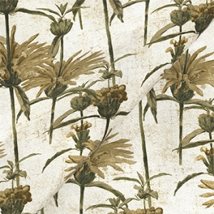 RHS Botanicals on Velvet - Henry Moon Lion's Tail: Sandstone