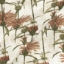 Exclusive Fabric RHS Botanicals on Velvet - Henry Moon Lion's Tail: Blush
