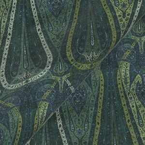 V&A Threads of India Opulent Velvets - Paisley Splendour: Hunter