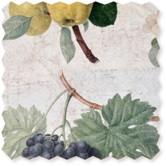 RHS Collection William Hooker Design: Fruit